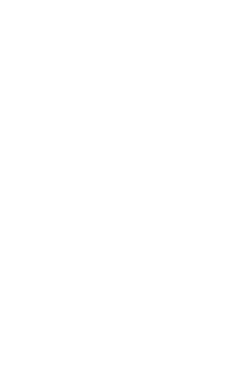 Logo Estereo Visual
